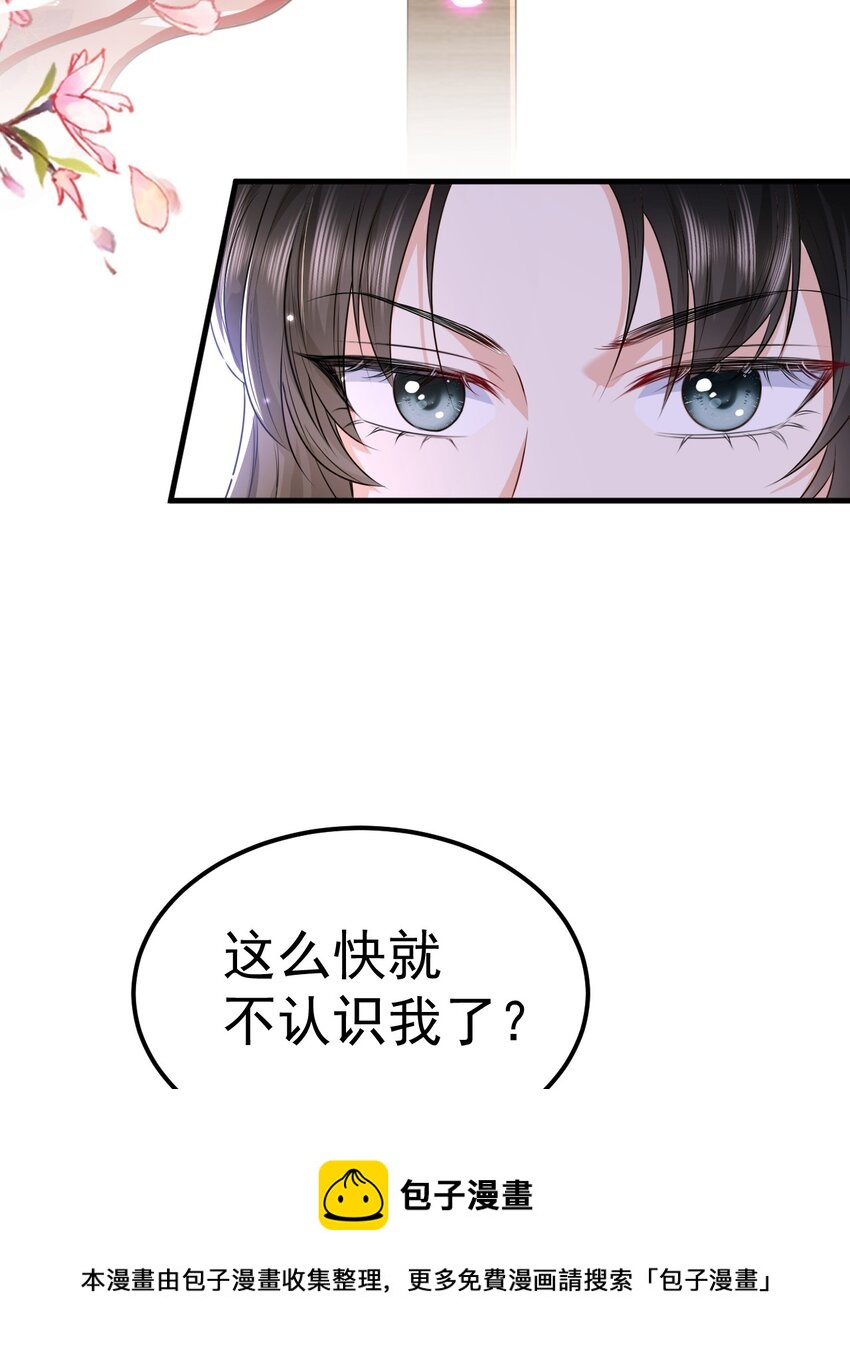 04 医术惊人4