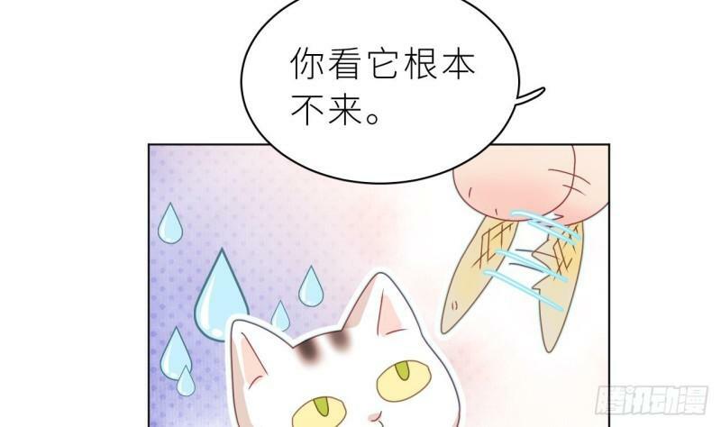 第7话  他怎么那么可爱63
