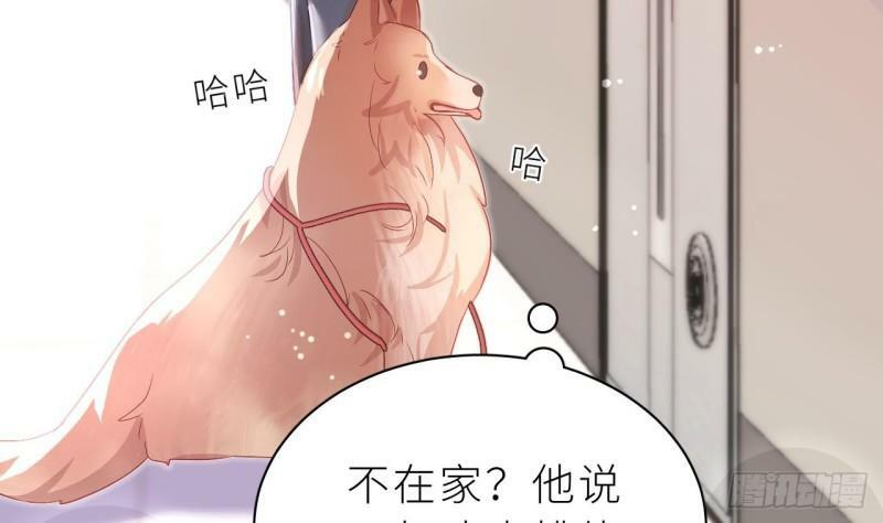 第9话  鱼脸都丢尽了7