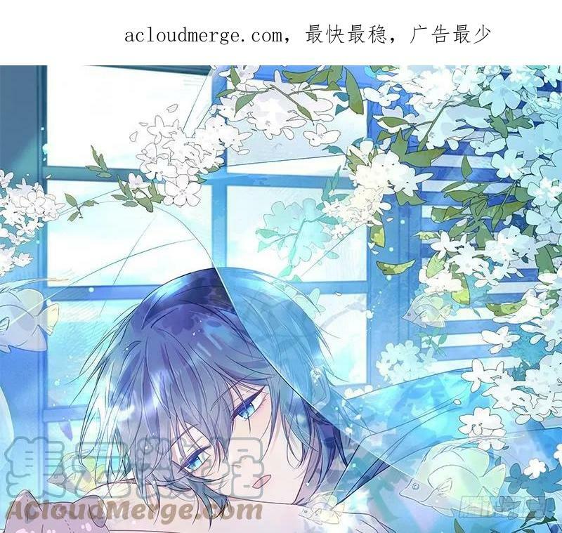 第14话 保护你0