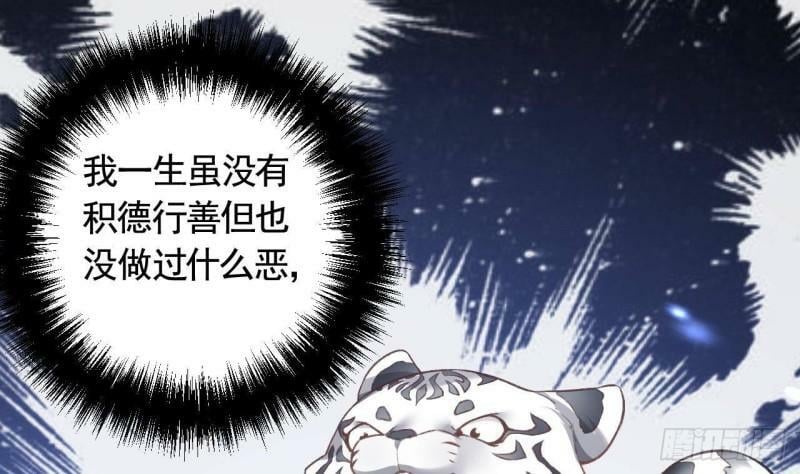 第7话  小崽子竟是白虎？27