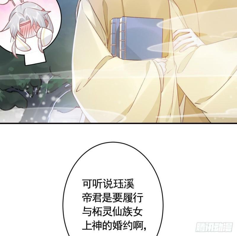 第11.5话  看看大老虎吧37