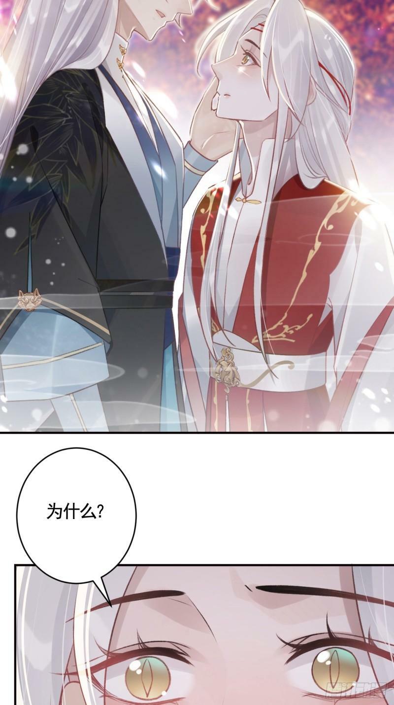 第11.5话  看看大老虎吧46