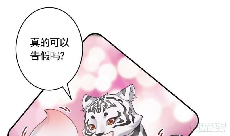 第11.5话  看看大老虎吧17