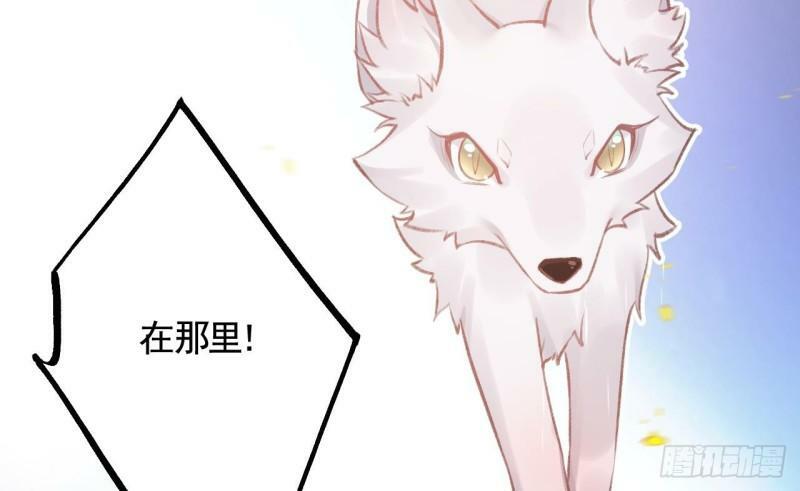 第17话  那我可就不装了84