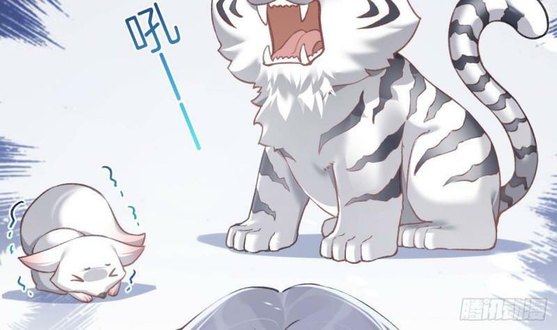 第7话  小崽子竟是白虎？28