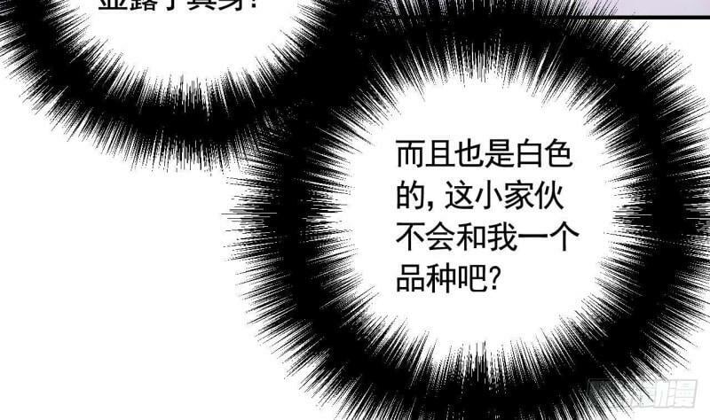 第7话  小崽子竟是白虎？21