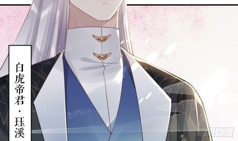 第11.5话  看看大老虎吧9