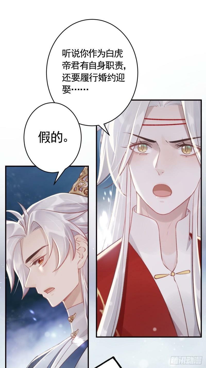 第11.5话  看看大老虎吧44