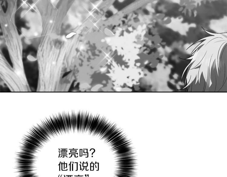 第6话 一起赏樱花吧！136