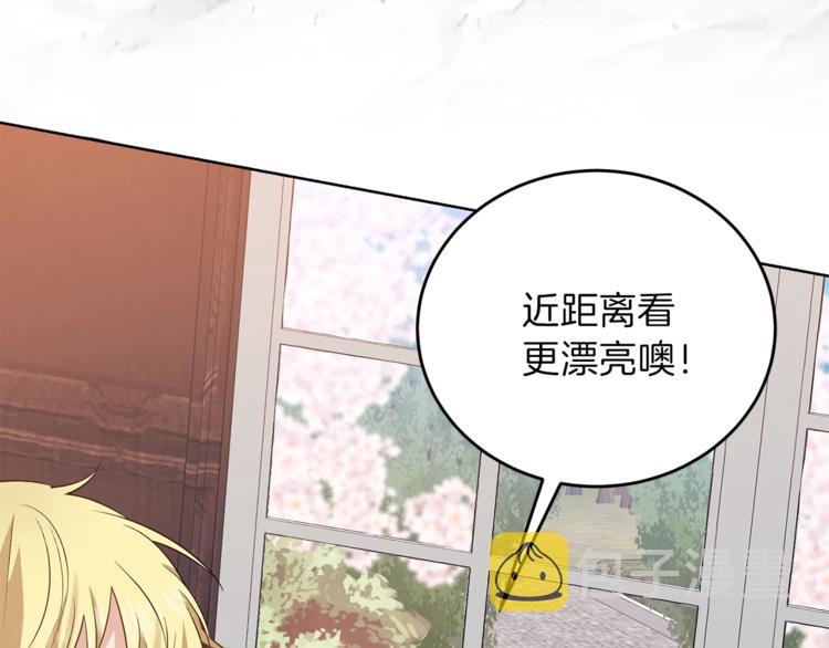 第6话 一起赏樱花吧！85