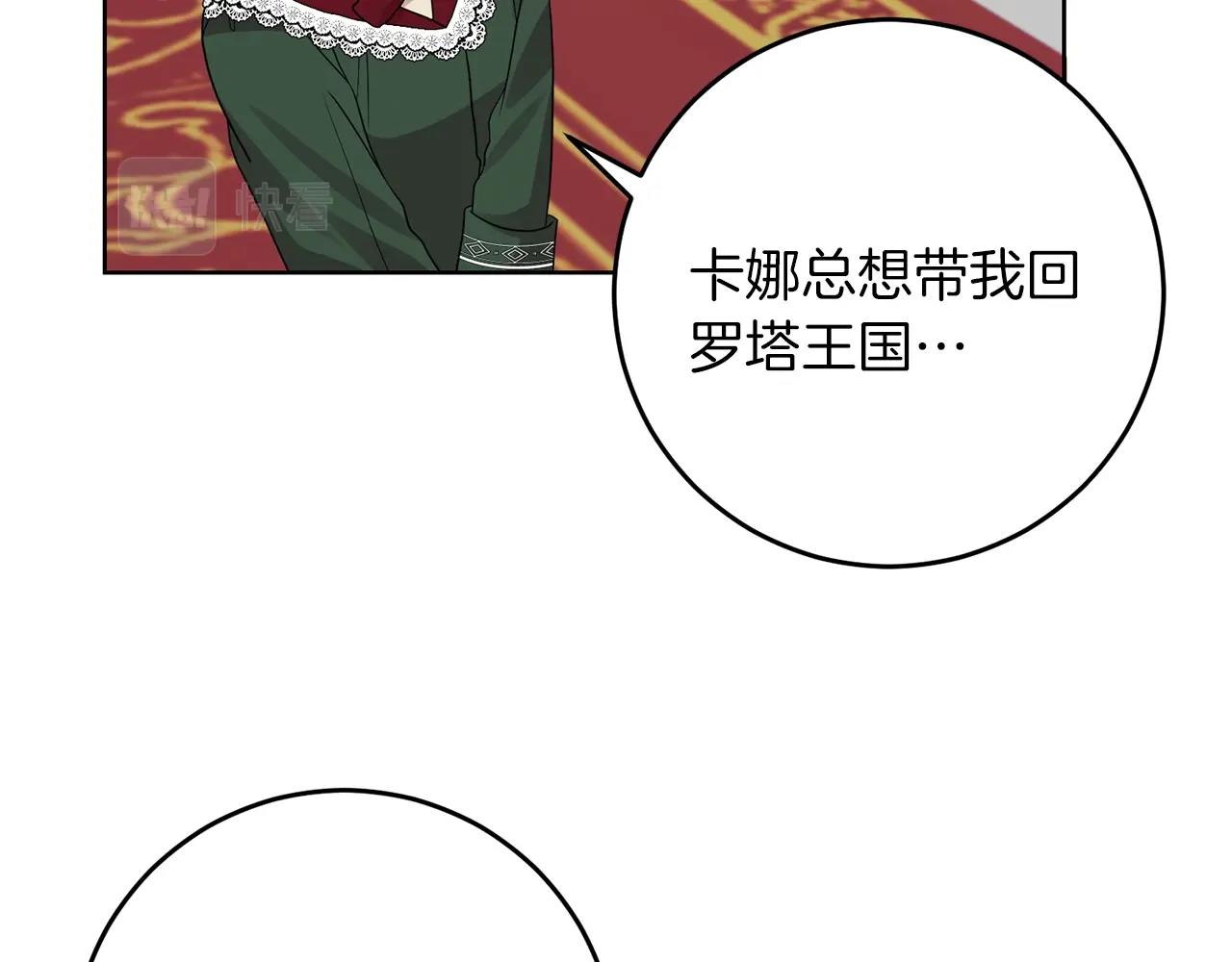 第33话 小殿下63