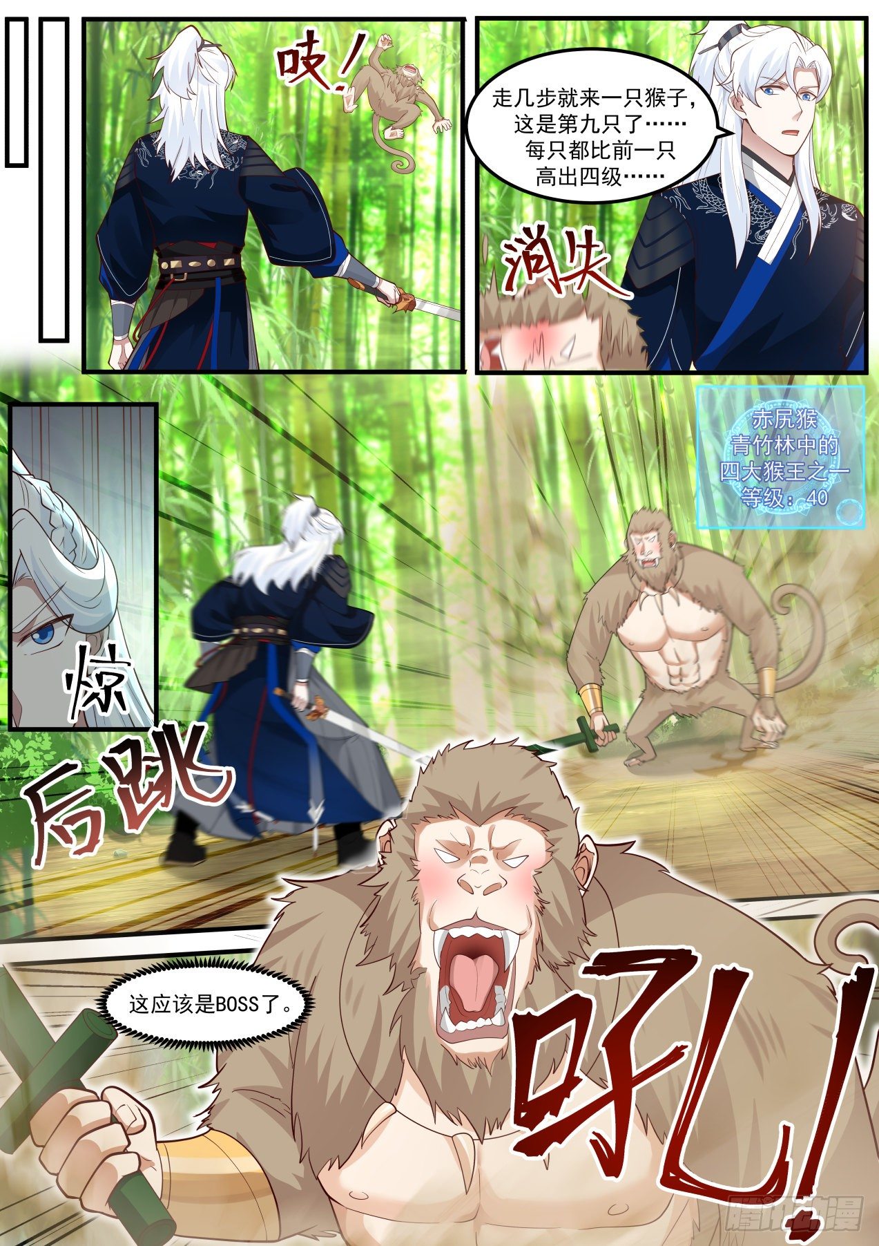 青竹秘境-赤尻猴3
