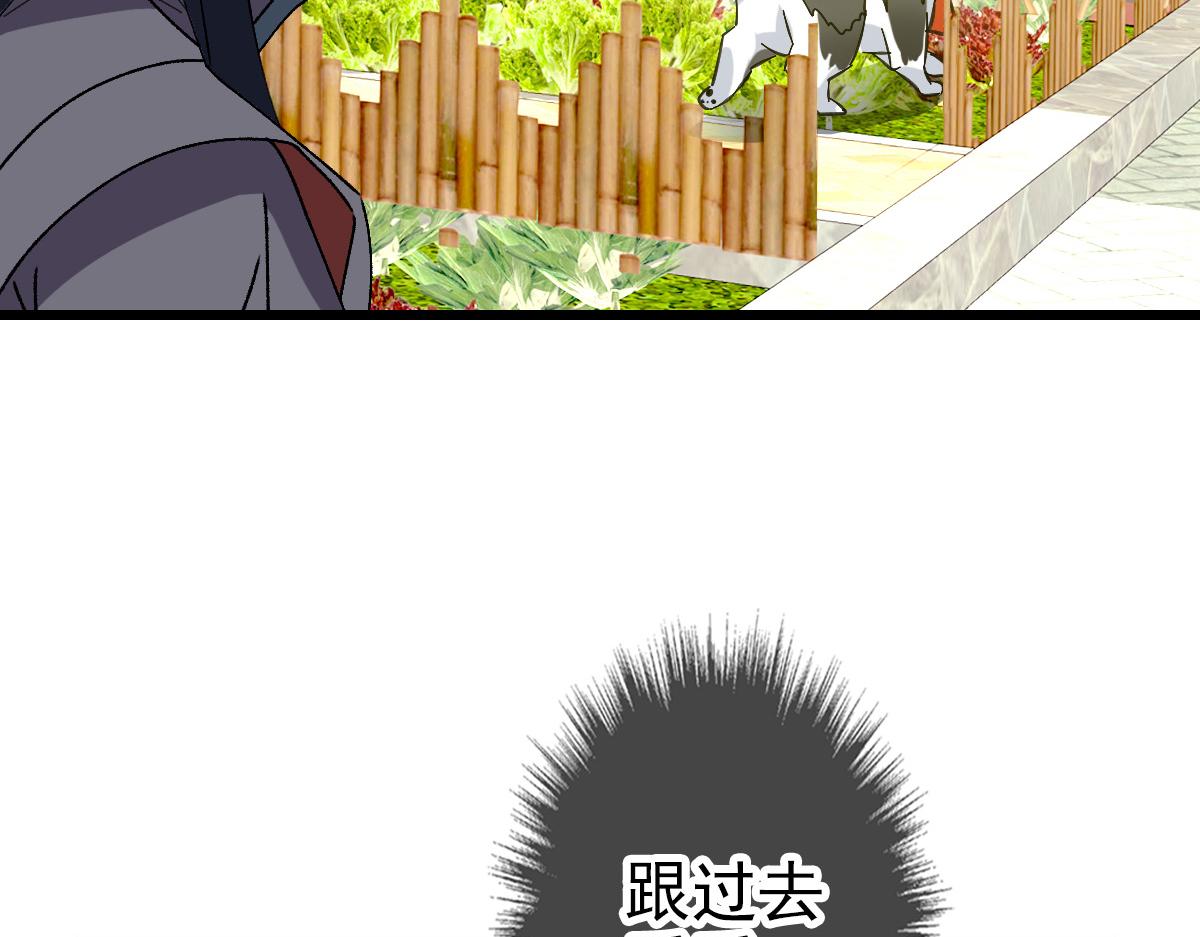 第74话 九印派52
