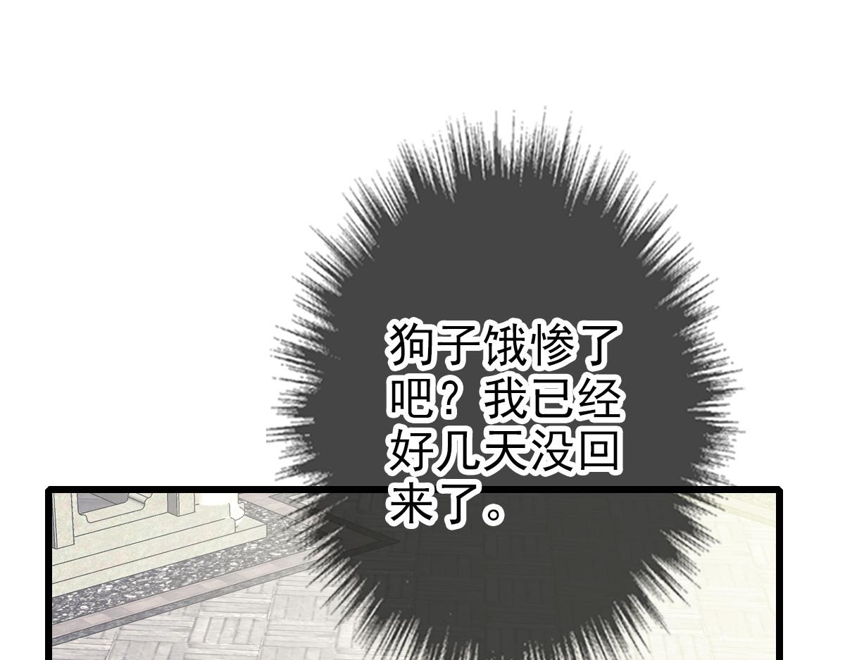 第68话 分舵易主27