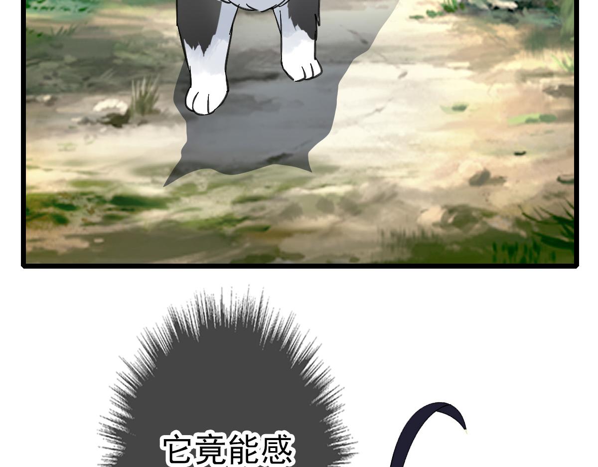 第74话 九印派61