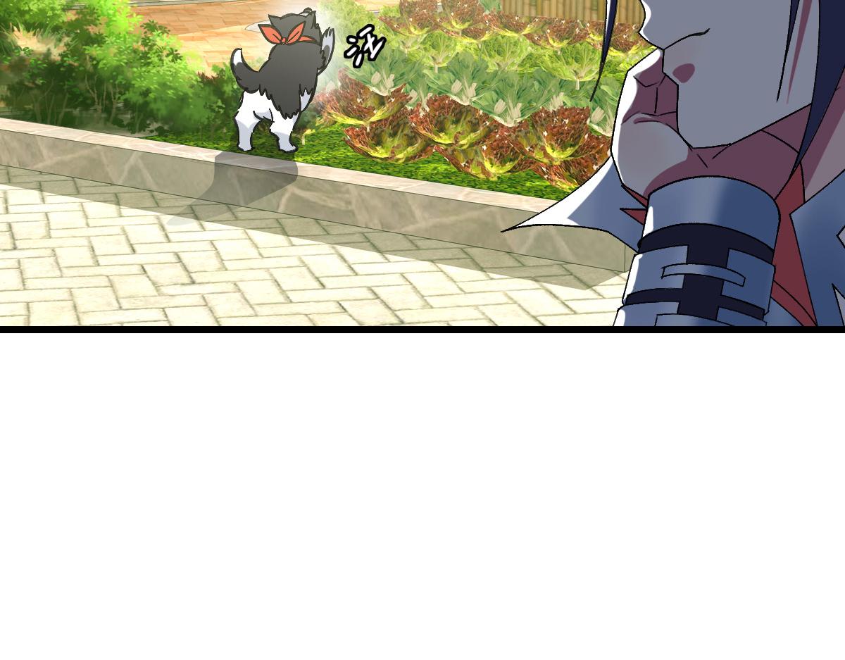 第74话 九印派43