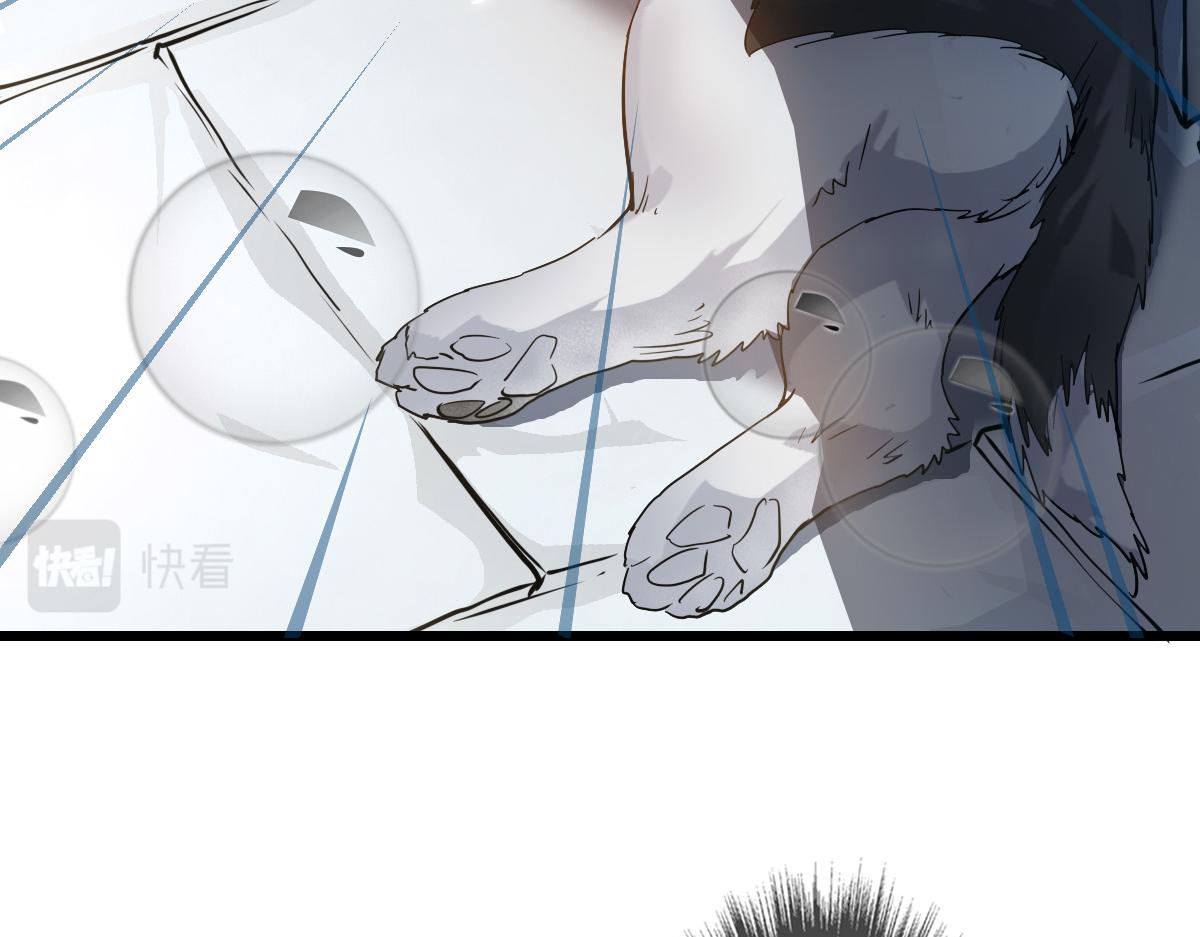 第41话 灭门案48