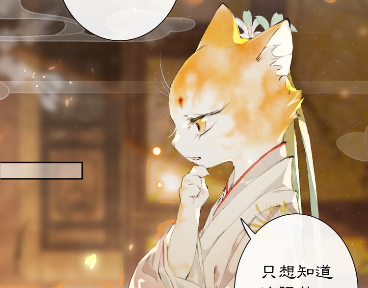 第19话 深夜，猫与鱼12