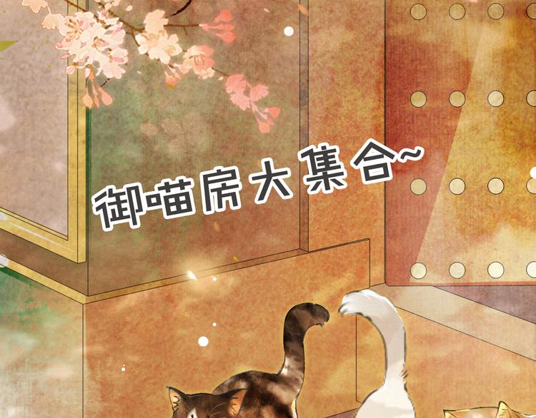 第39话 霜眉的心77