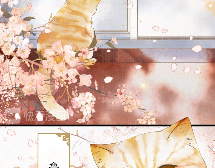 第1话 御猫的神秘生活65
