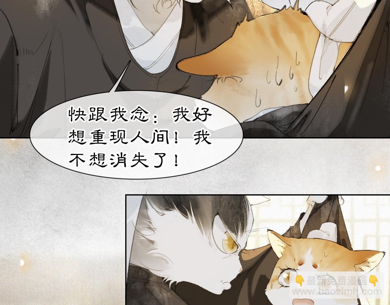 第36话 被选中的喵25