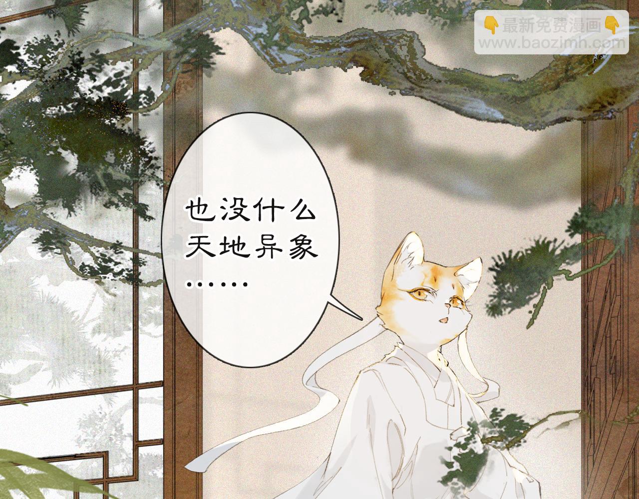 第36话 被选中的喵31