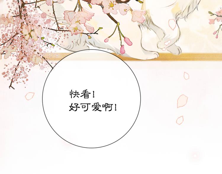 第1话 御猫的神秘生活16