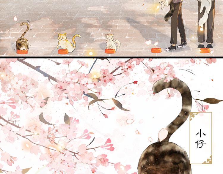 第1话 御猫的神秘生活42