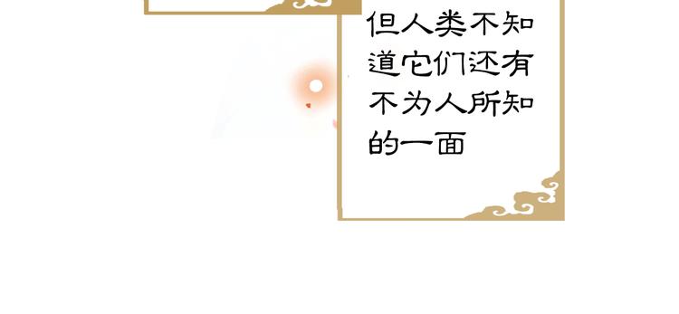 第1话 御猫的神秘生活47