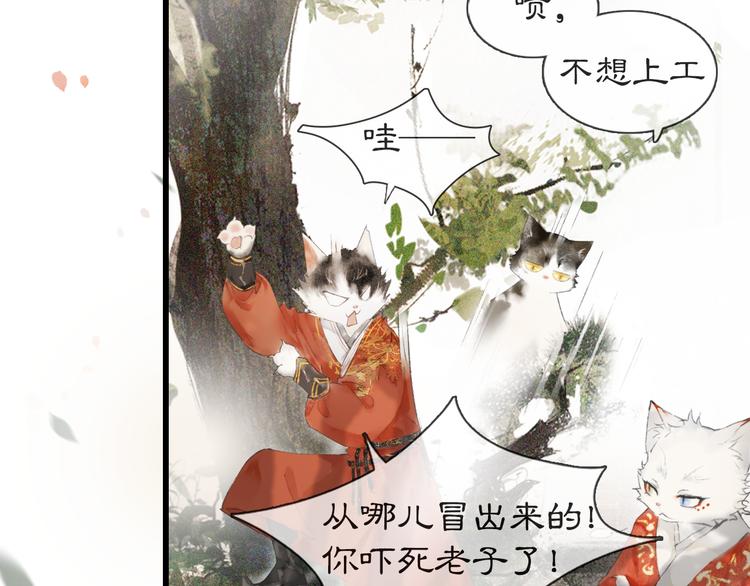 第1话 御猫的神秘生活60