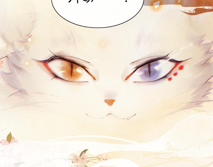 第1话 御猫的神秘生活101