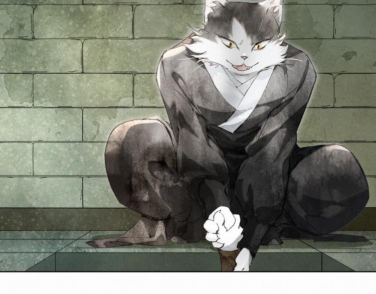 第28话 有“猫腻”的柴房47