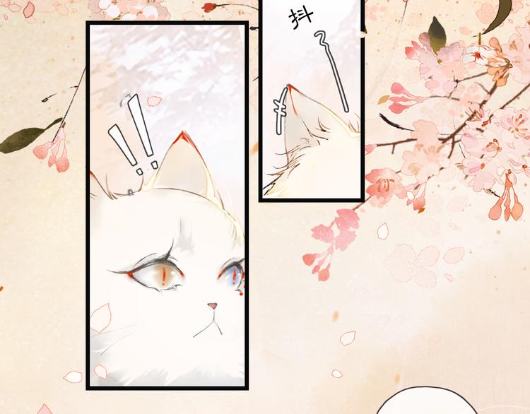 第1话 御猫的神秘生活12