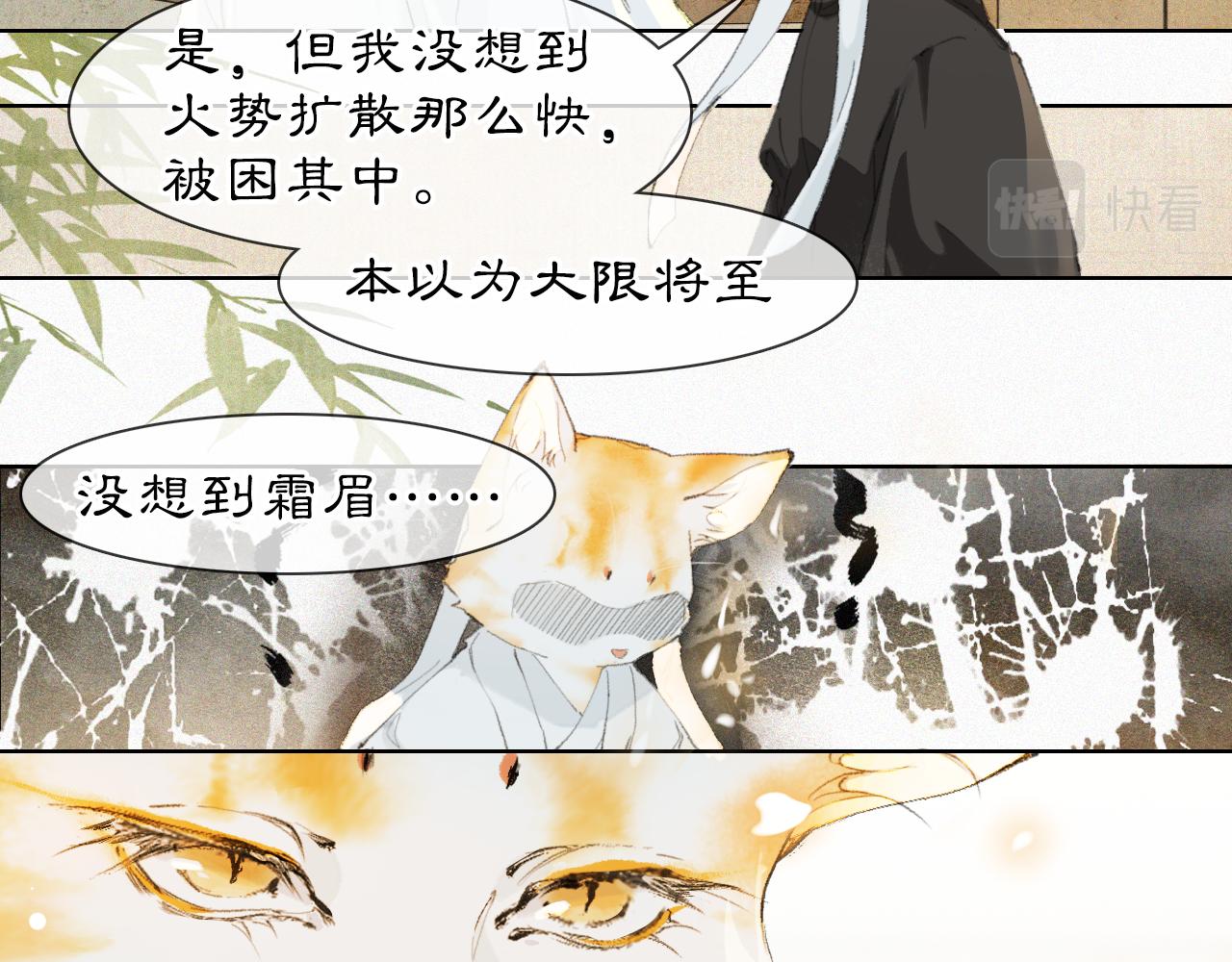 第37话 腹黑喵的真相38