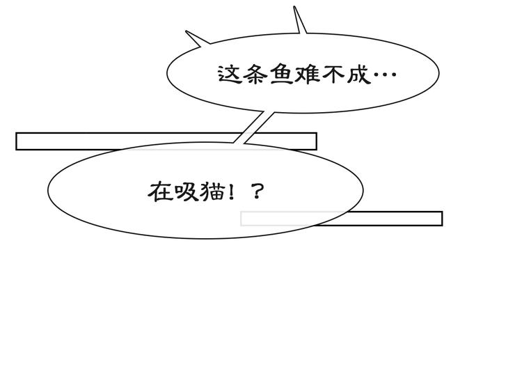 第16话 鱼也吸猫？17