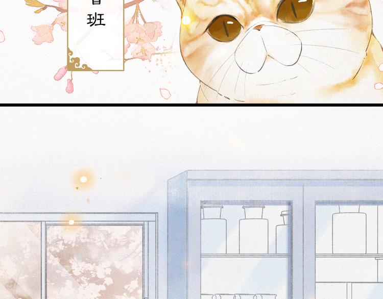 第1话 御猫的神秘生活66