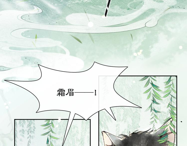 第16话 鱼也吸猫？10