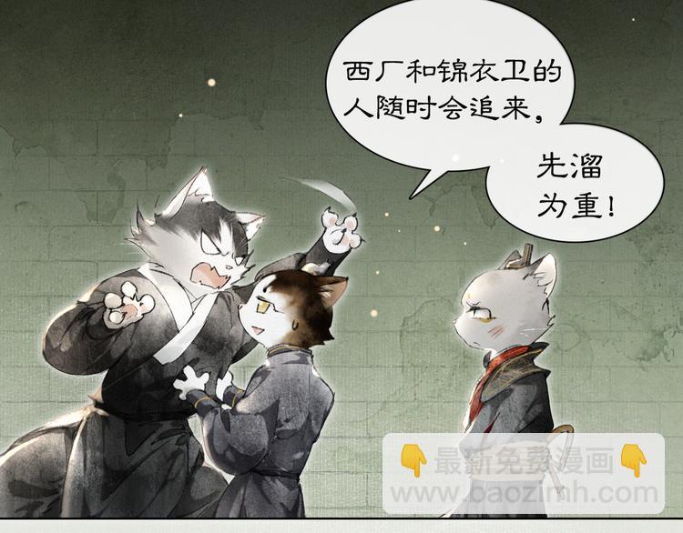 第28话 有“猫腻”的柴房59