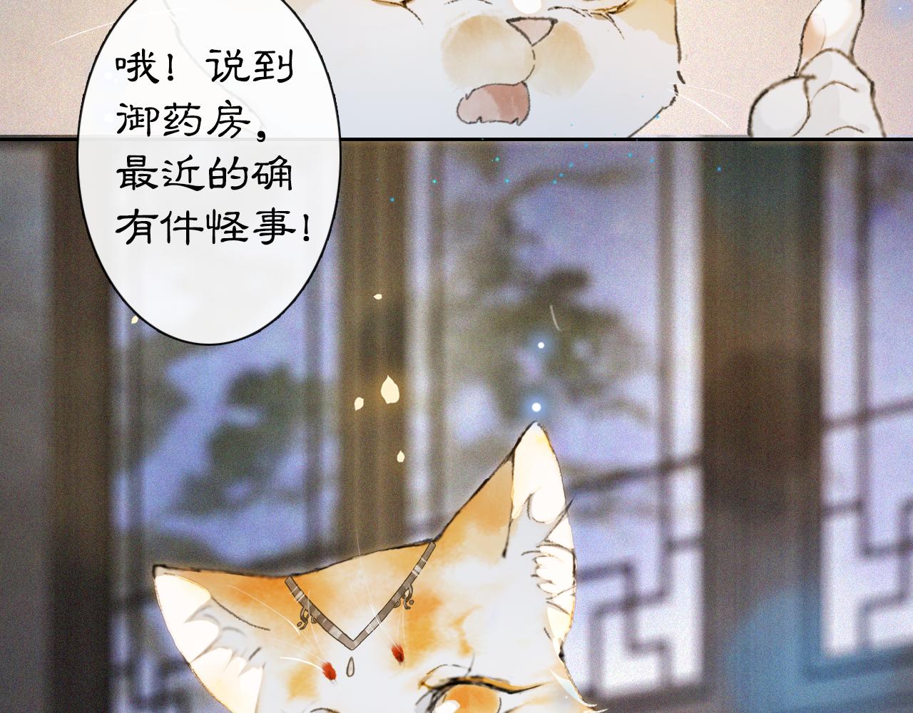 第10话 药柜有诡？34