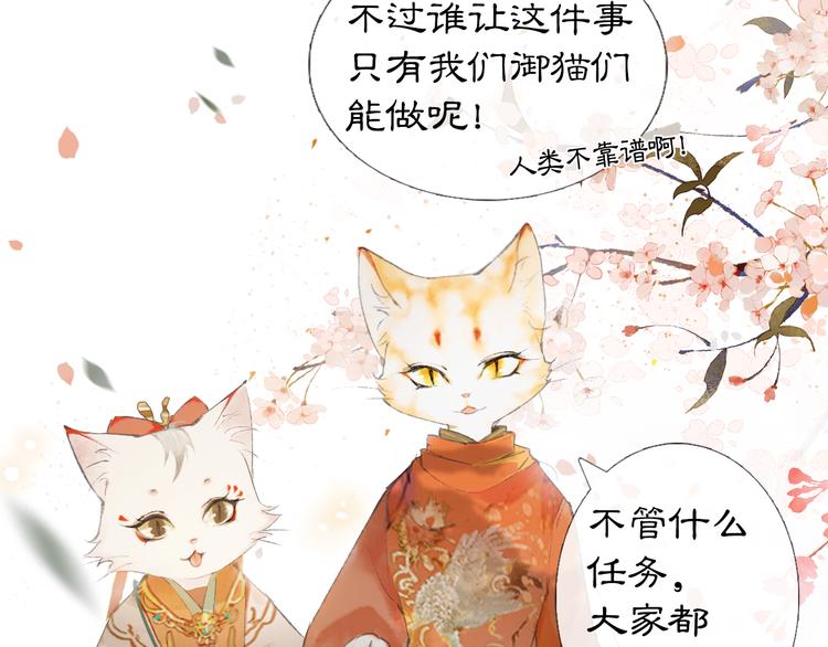 第1话 御猫的神秘生活58