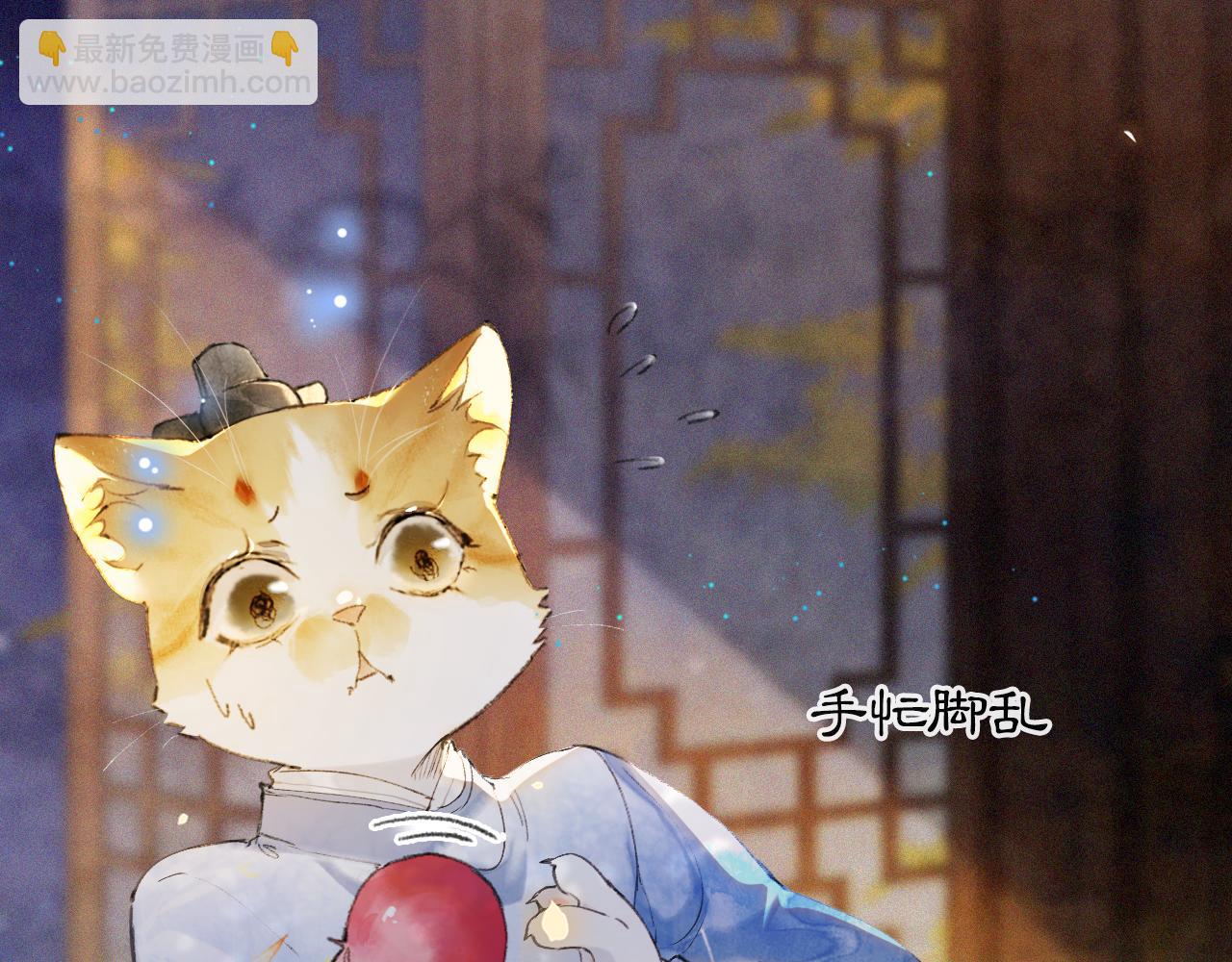 第12话 猫猫心事26