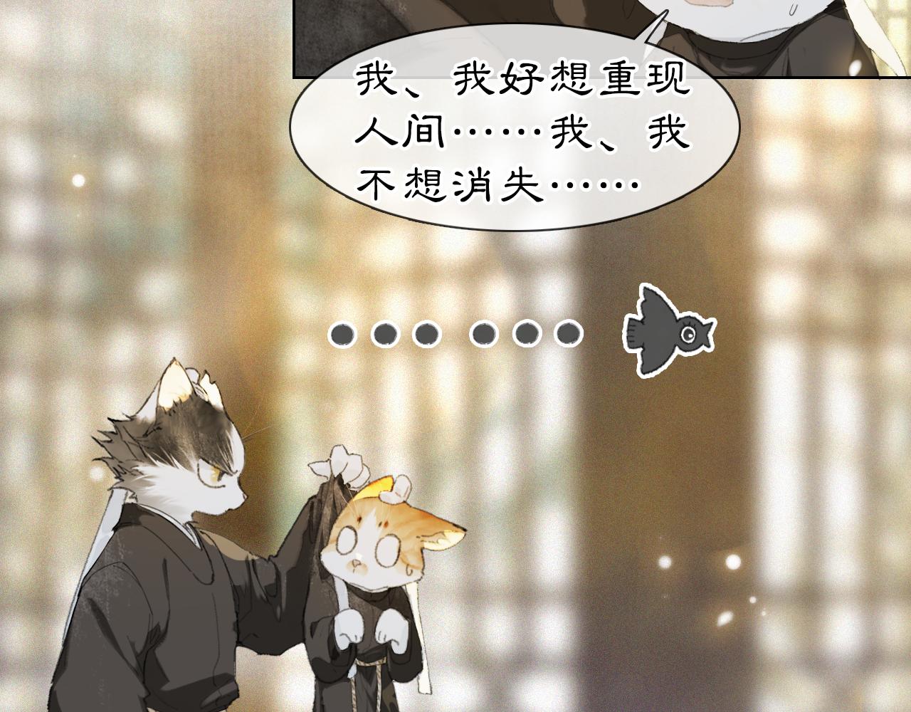 第36话 被选中的喵26