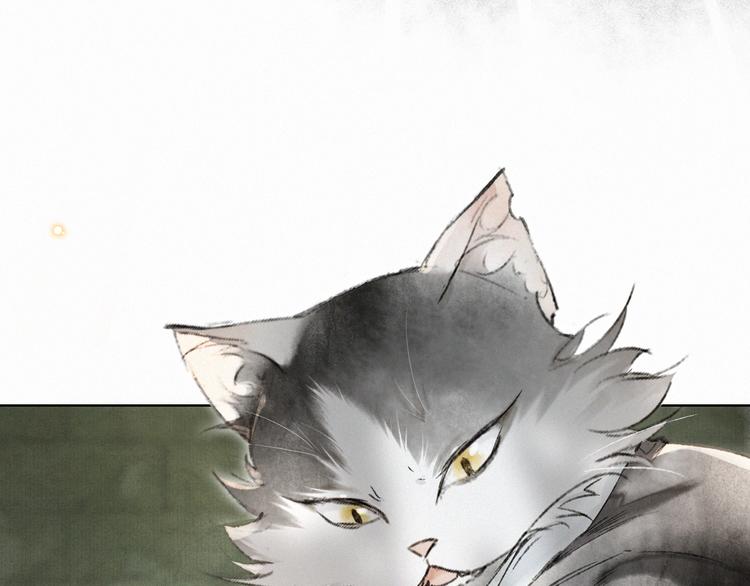 第28话 有“猫腻”的柴房43