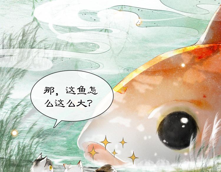 第16话 鱼也吸猫？1