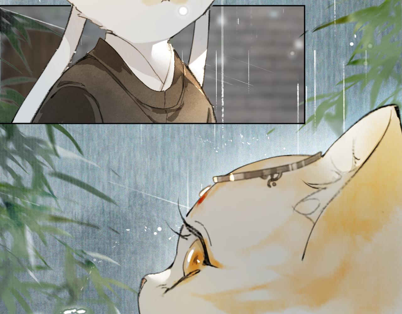 第44话让人担忧的猫咪14