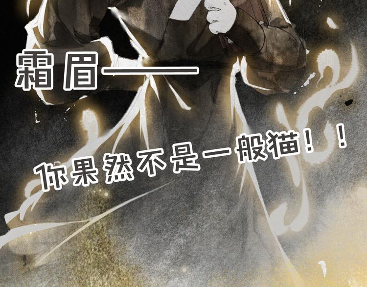 第28话 有“猫腻”的柴房74