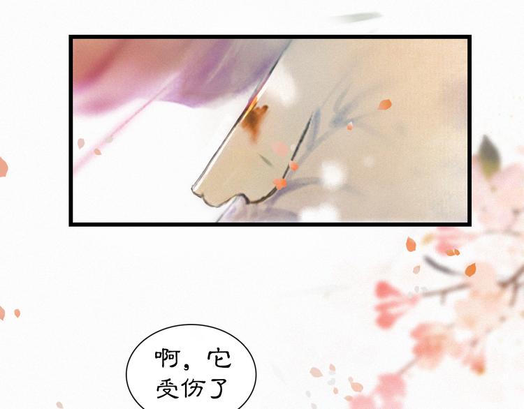第1话 御猫的神秘生活82
