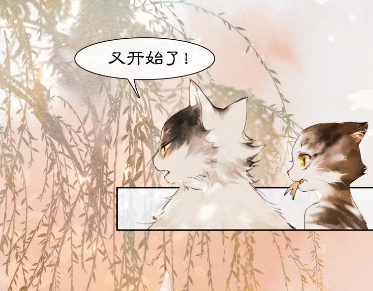 第16话 鱼也吸猫？26
