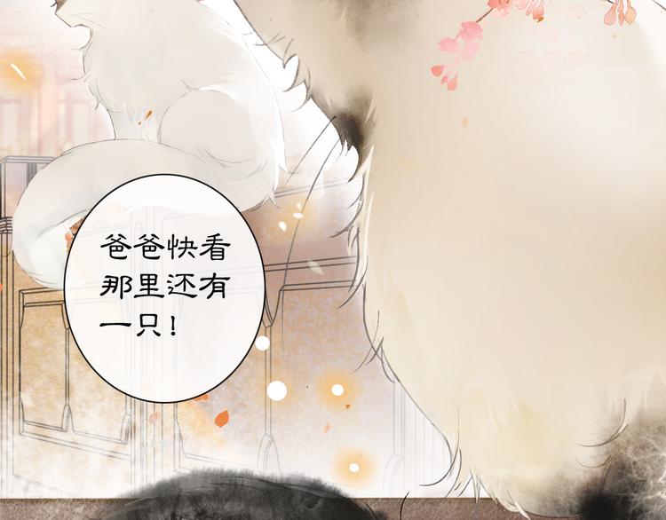 第1话 御猫的神秘生活28